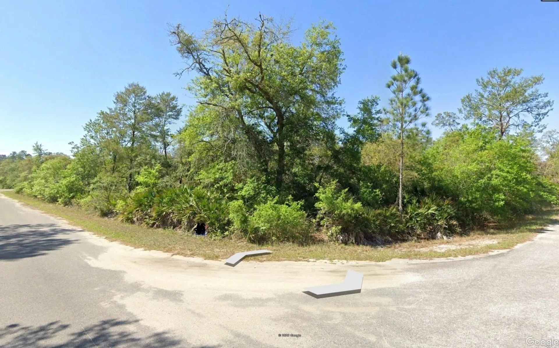 43 Sequoia Trail Ocklawaha FL 32179