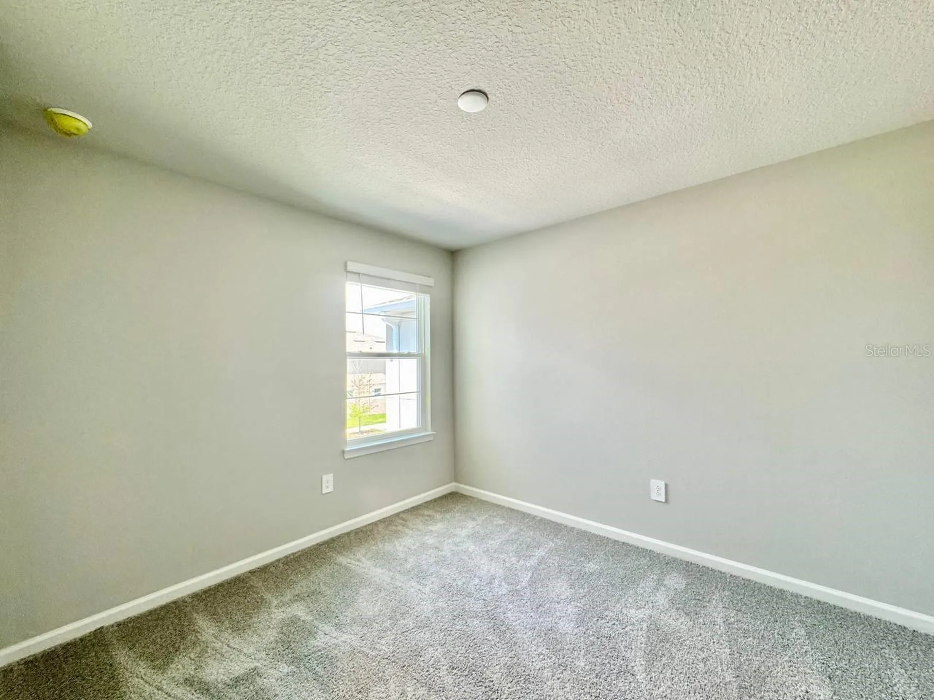 3247 Feather Haven Place Brandon FL 33511