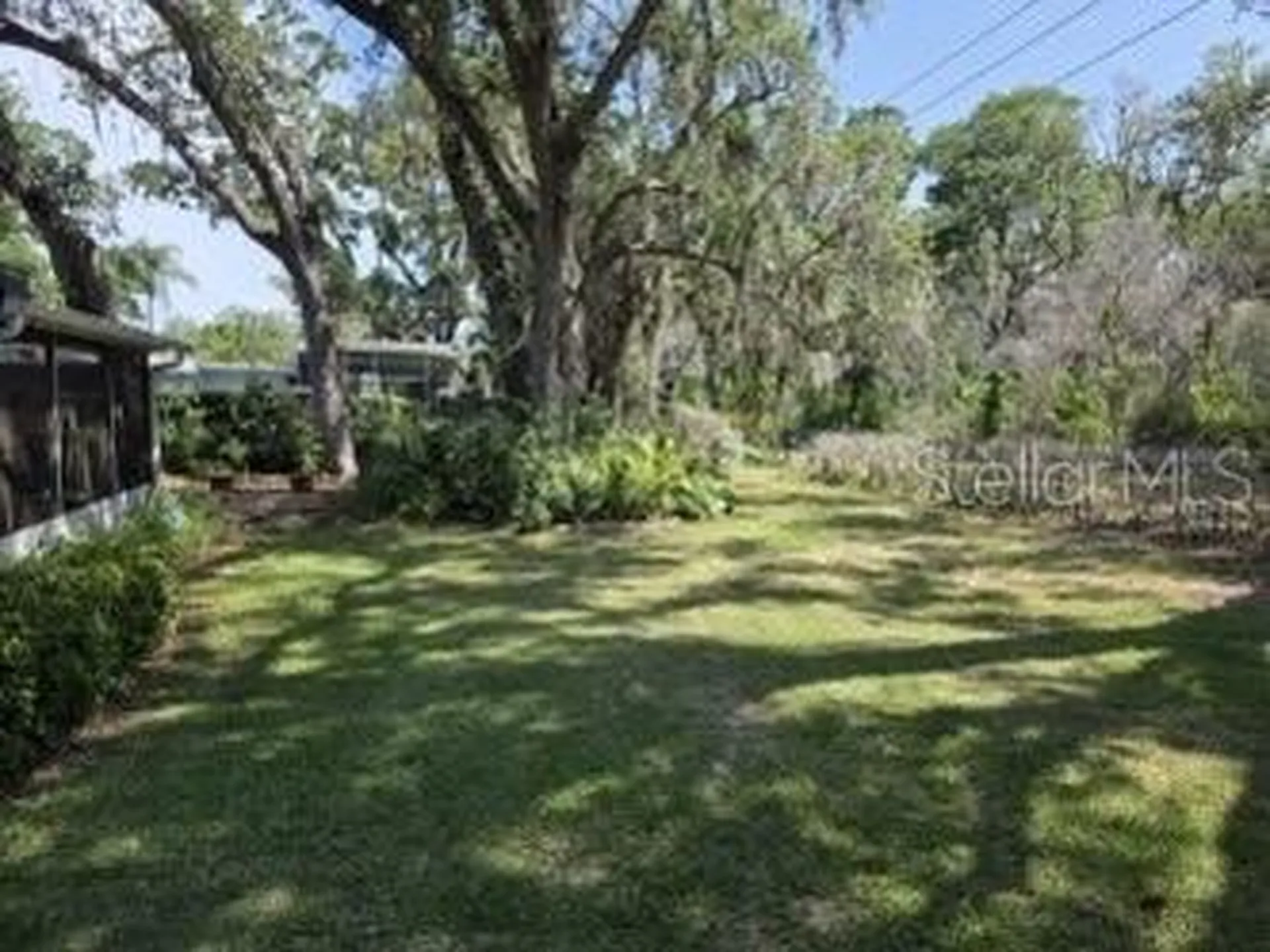 Dunedin FL 34698