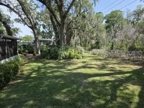 Dunedin FL 34698