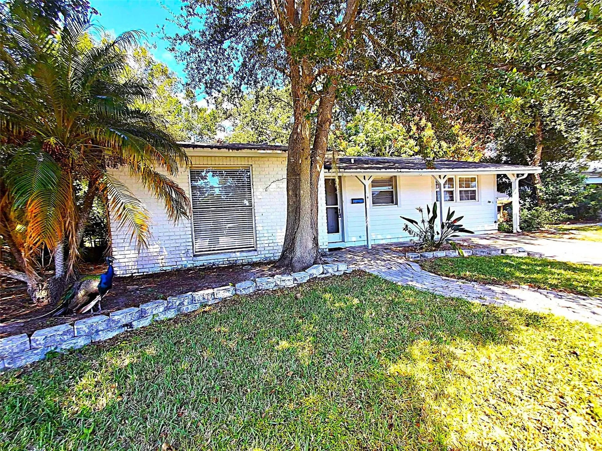 2812 Dovewood Street Clearwater FL 33759