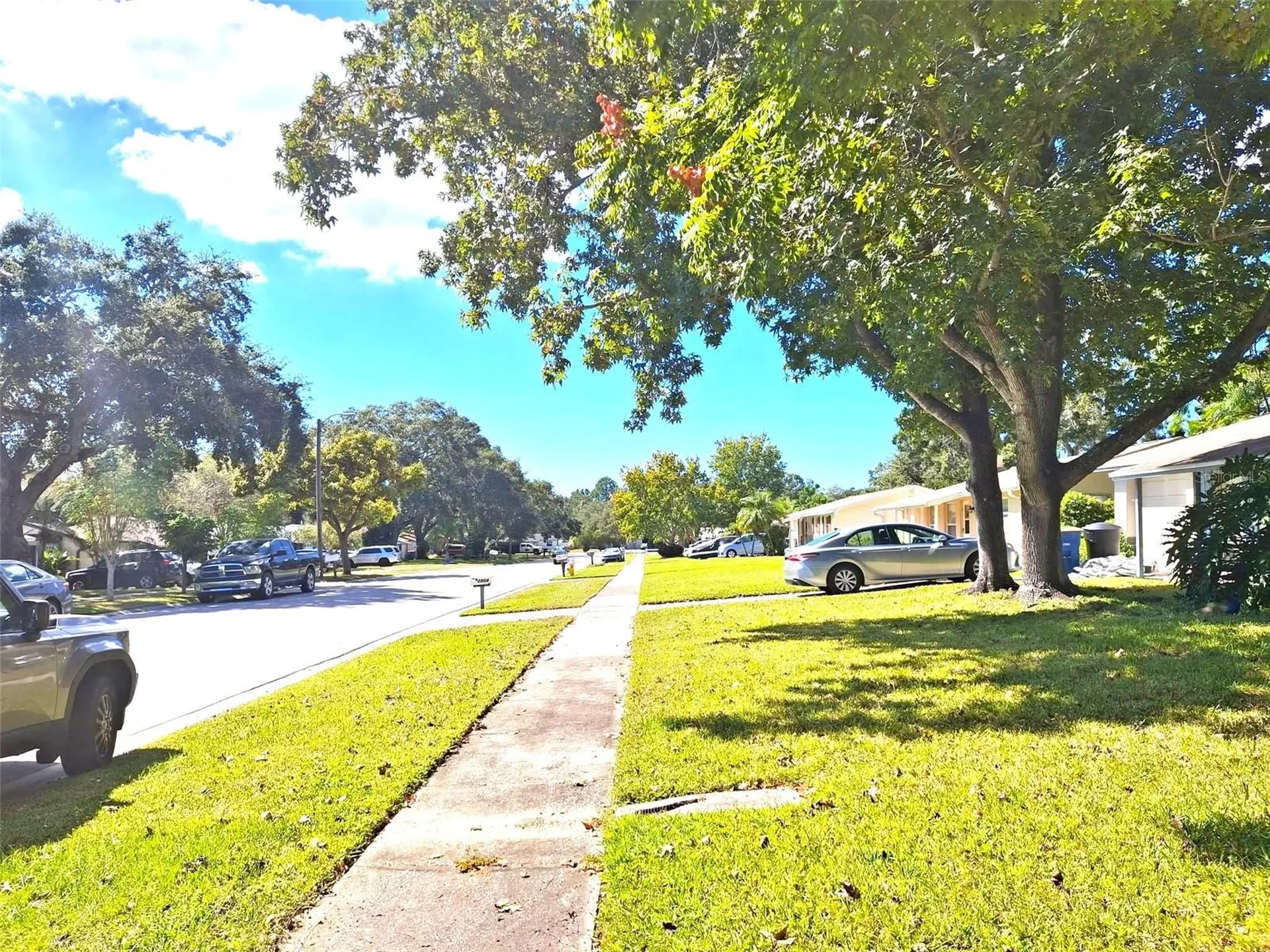 2812 Dovewood Street Clearwater FL 33759
