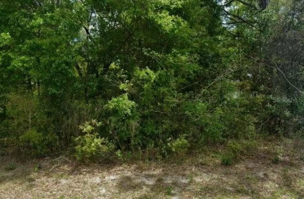 1578 W Evergreen Drive Citrus Springs FL 34434