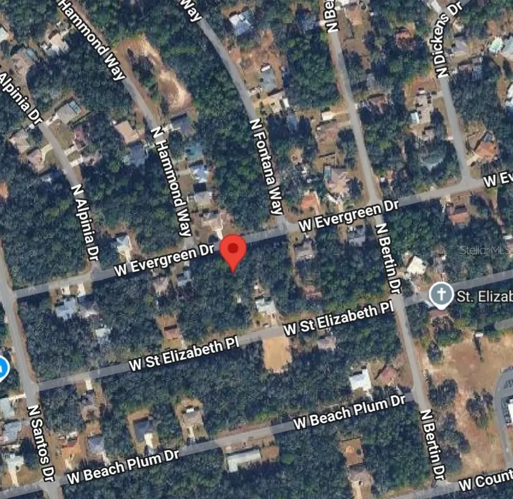 1578 W Evergreen Drive Citrus Springs FL 34434