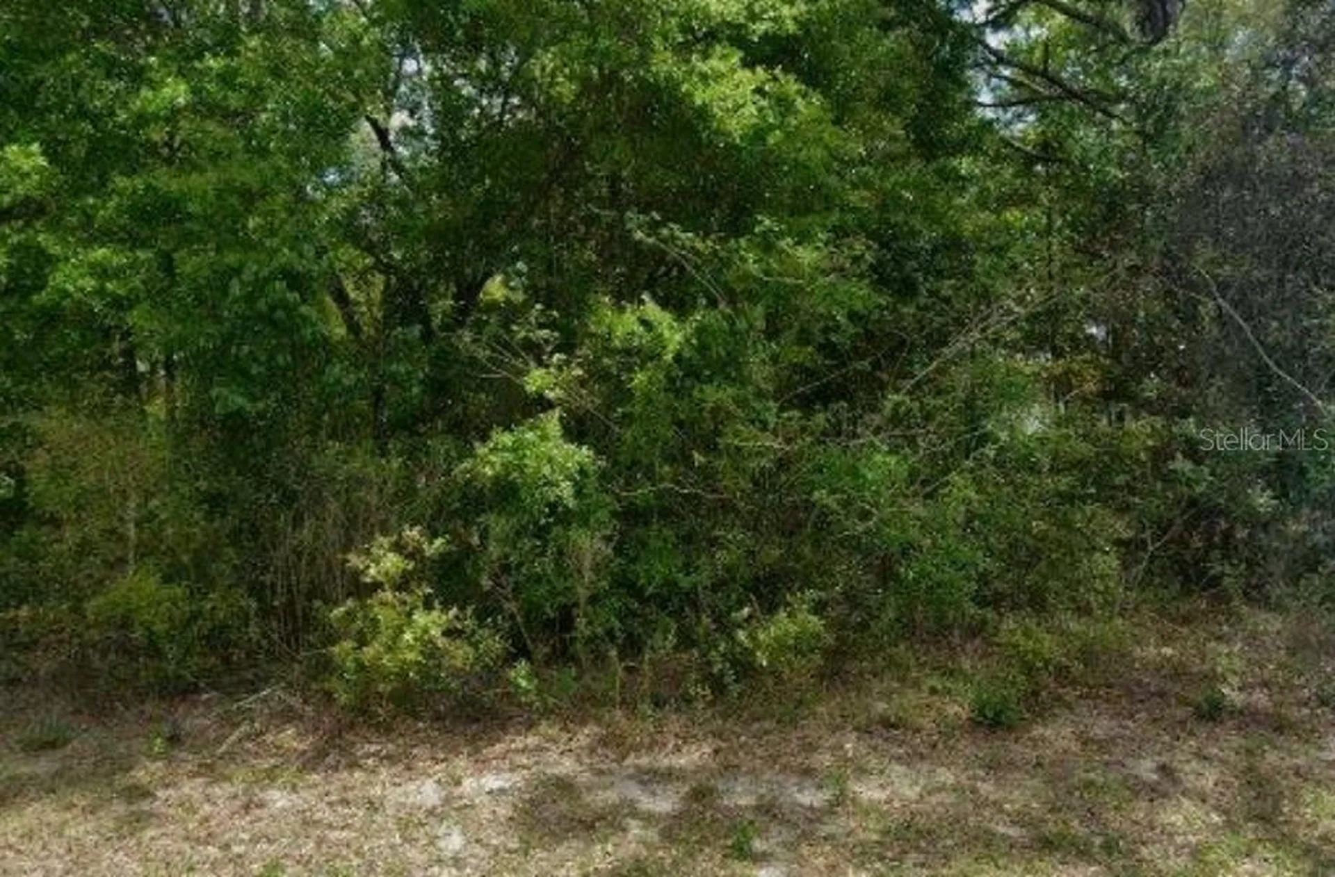 1578 W Evergreen Drive Citrus Springs FL 34434