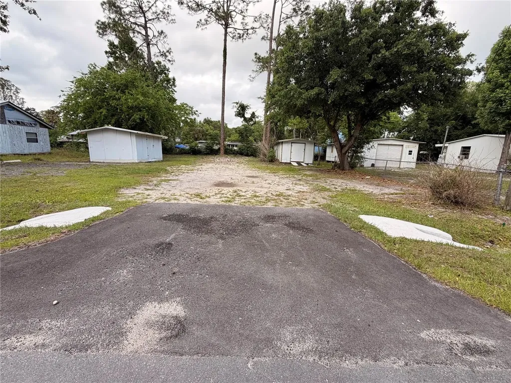 Armadillo Road Astor FL 32102