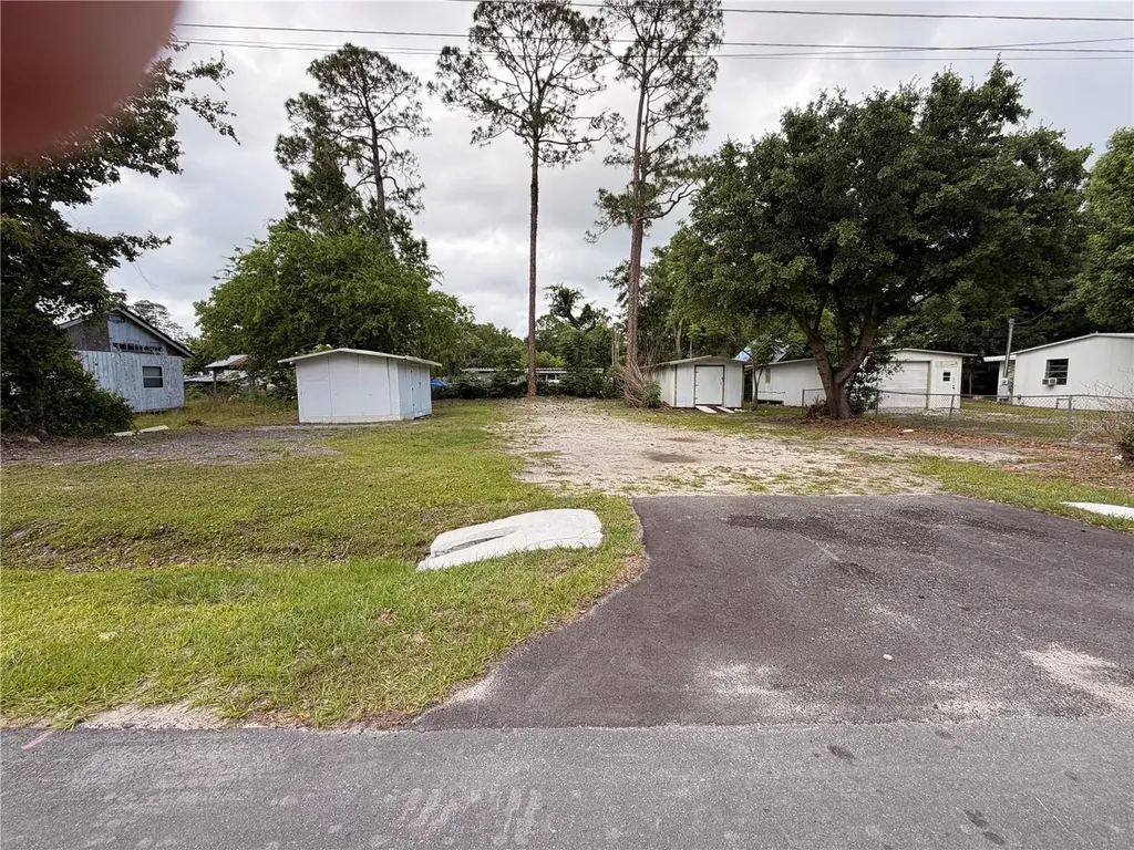 Armadillo Road Astor FL 32102
