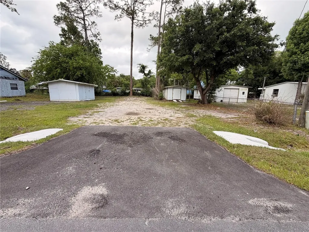 Armadillo Road Astor FL 32102