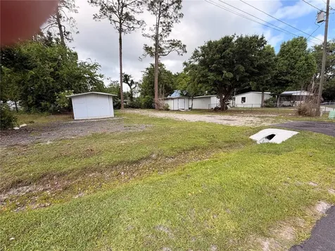 Armadillo Road Astor FL 32102