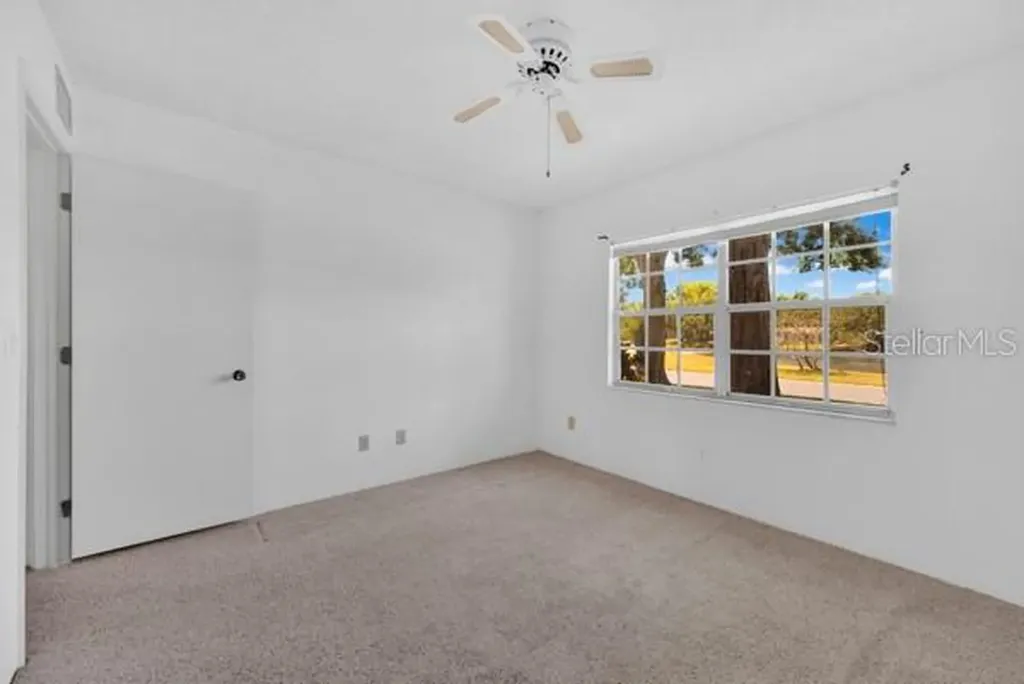 3113 Mission Grove Drive Palm Harbor FL 34684