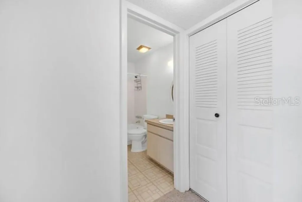 3113 Mission Grove Drive Palm Harbor FL 34684