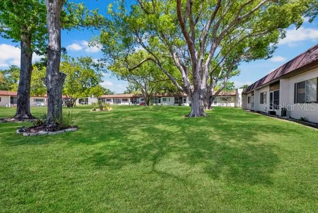 3113 Mission Grove Drive Palm Harbor FL 34684