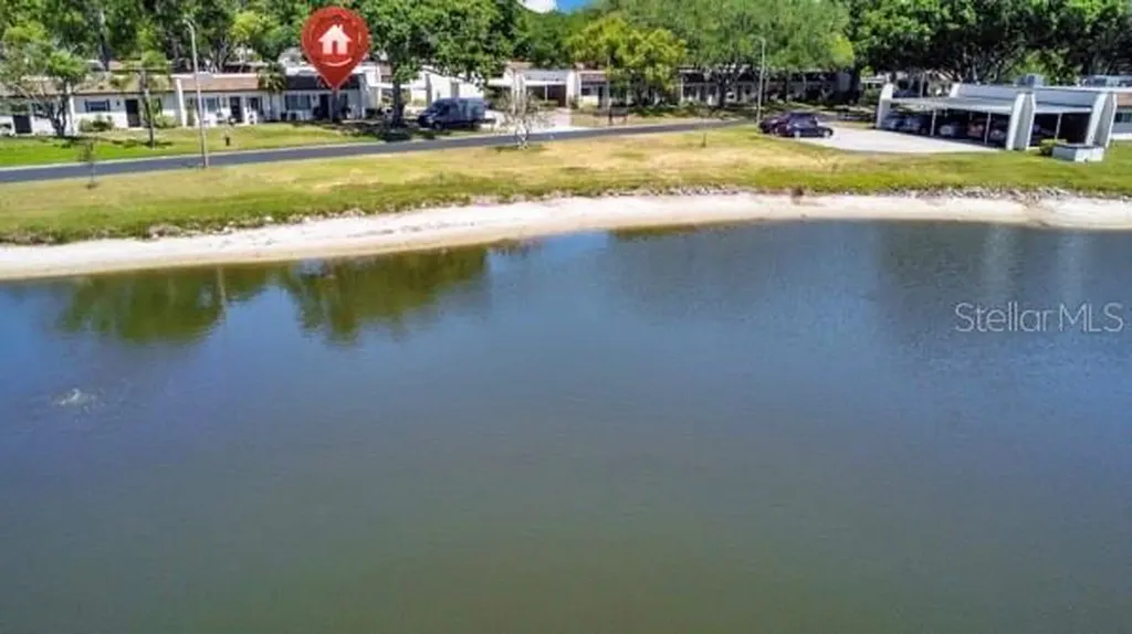 3113 Mission Grove Drive Palm Harbor FL 34684