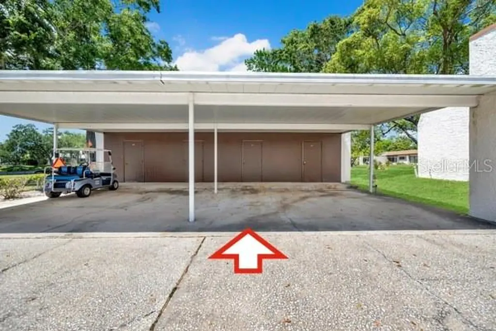 3113 Mission Grove Drive Palm Harbor FL 34684