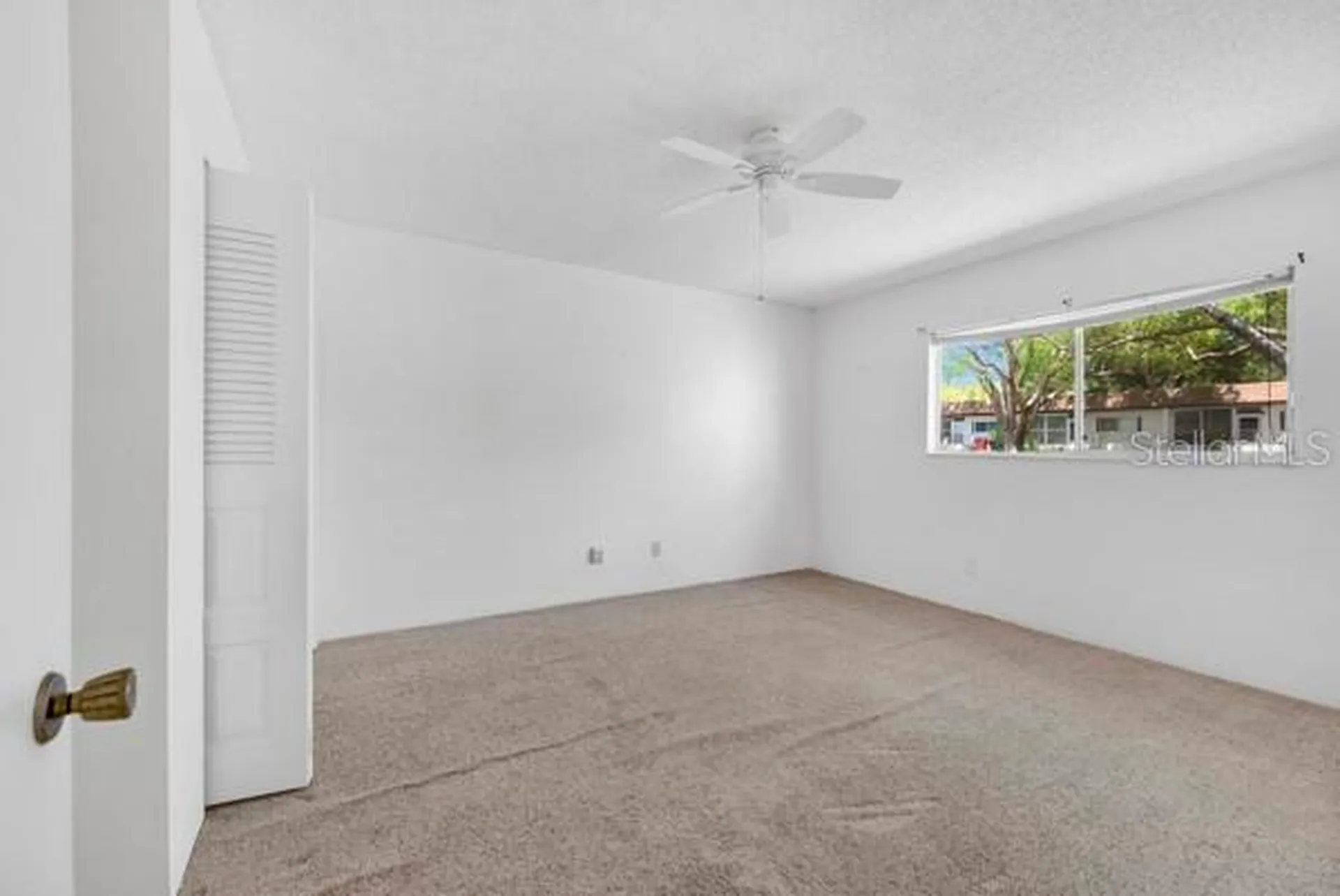 3113 Mission Grove Drive Palm Harbor FL 34684