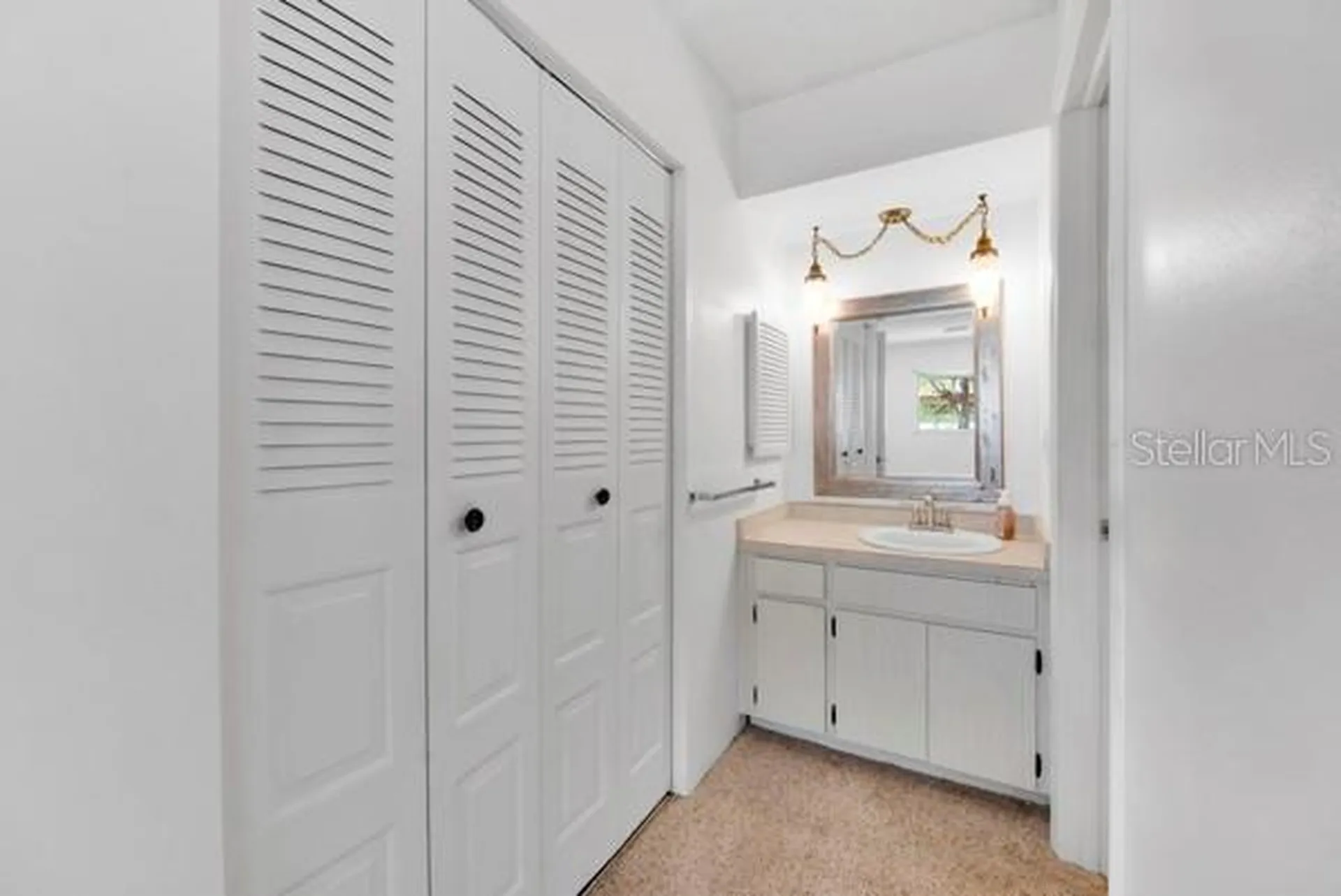 3113 Mission Grove Drive Palm Harbor FL 34684