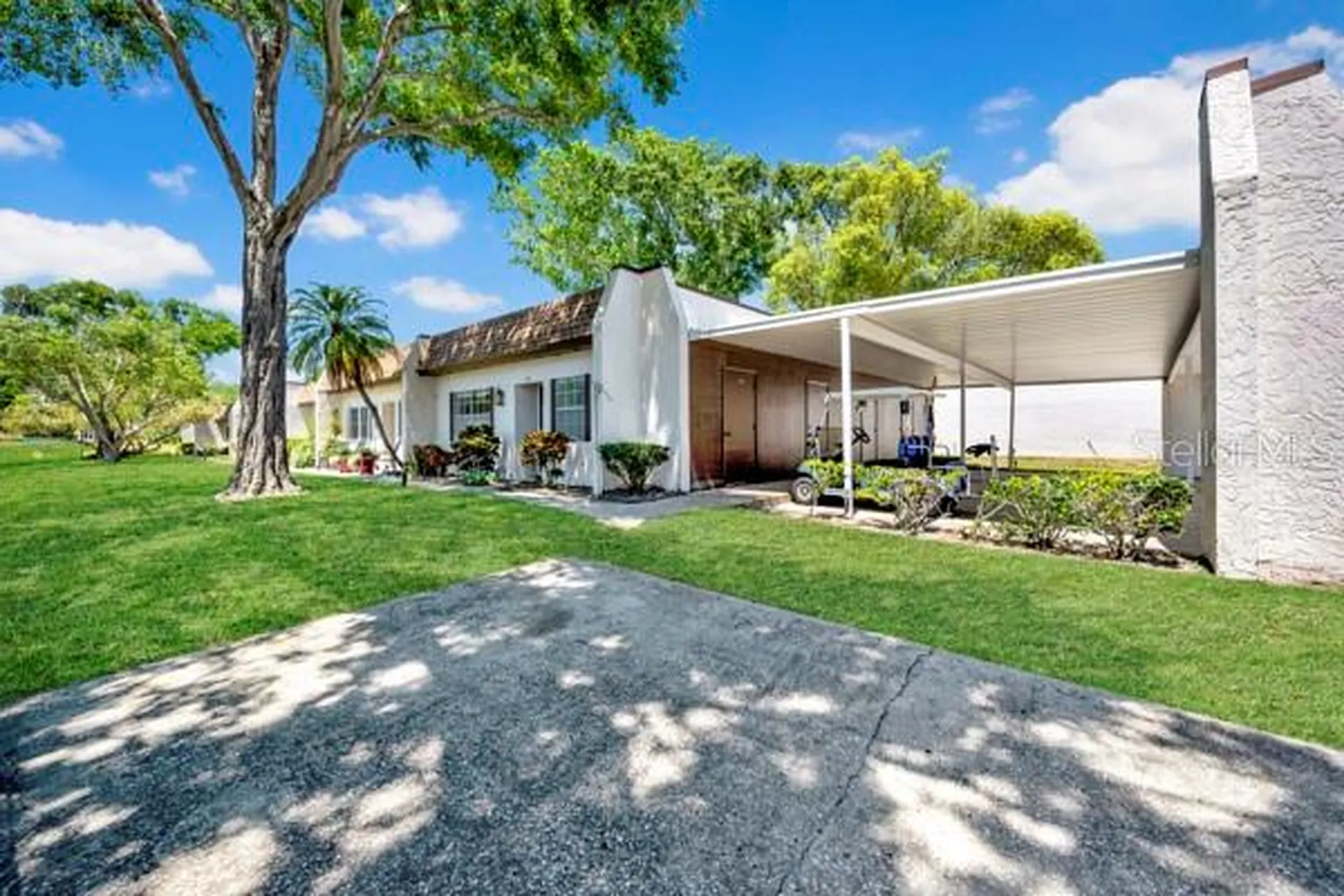 3113 Mission Grove Drive Palm Harbor FL 34684