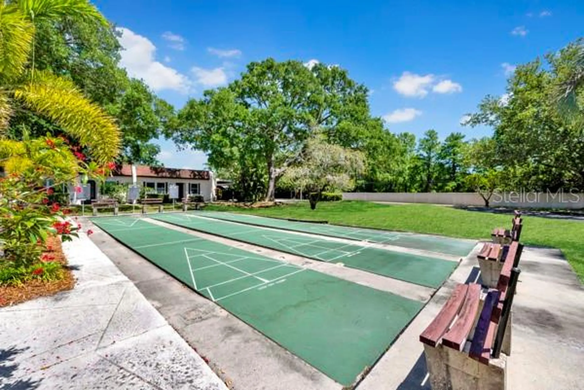 3113 Mission Grove Drive Palm Harbor FL 34684