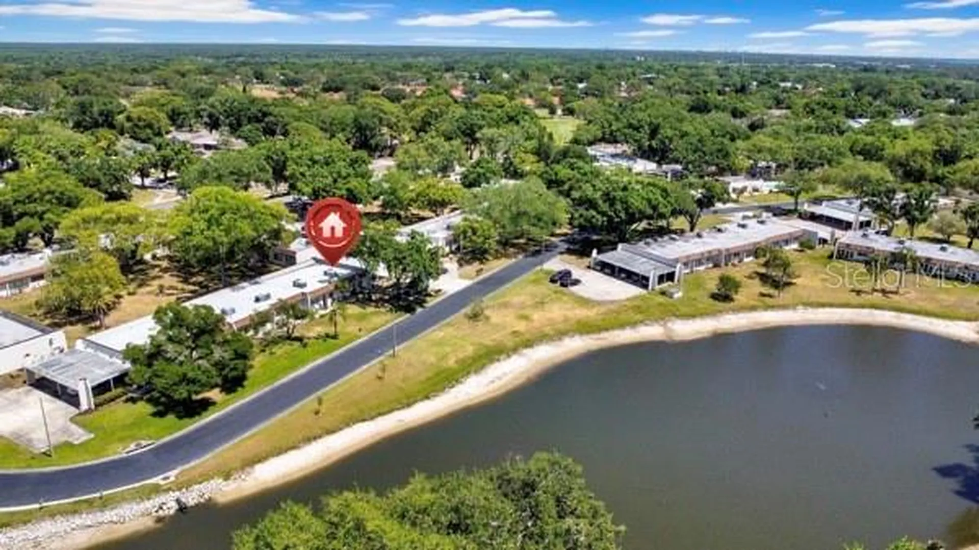 3113 Mission Grove Drive Palm Harbor FL 34684