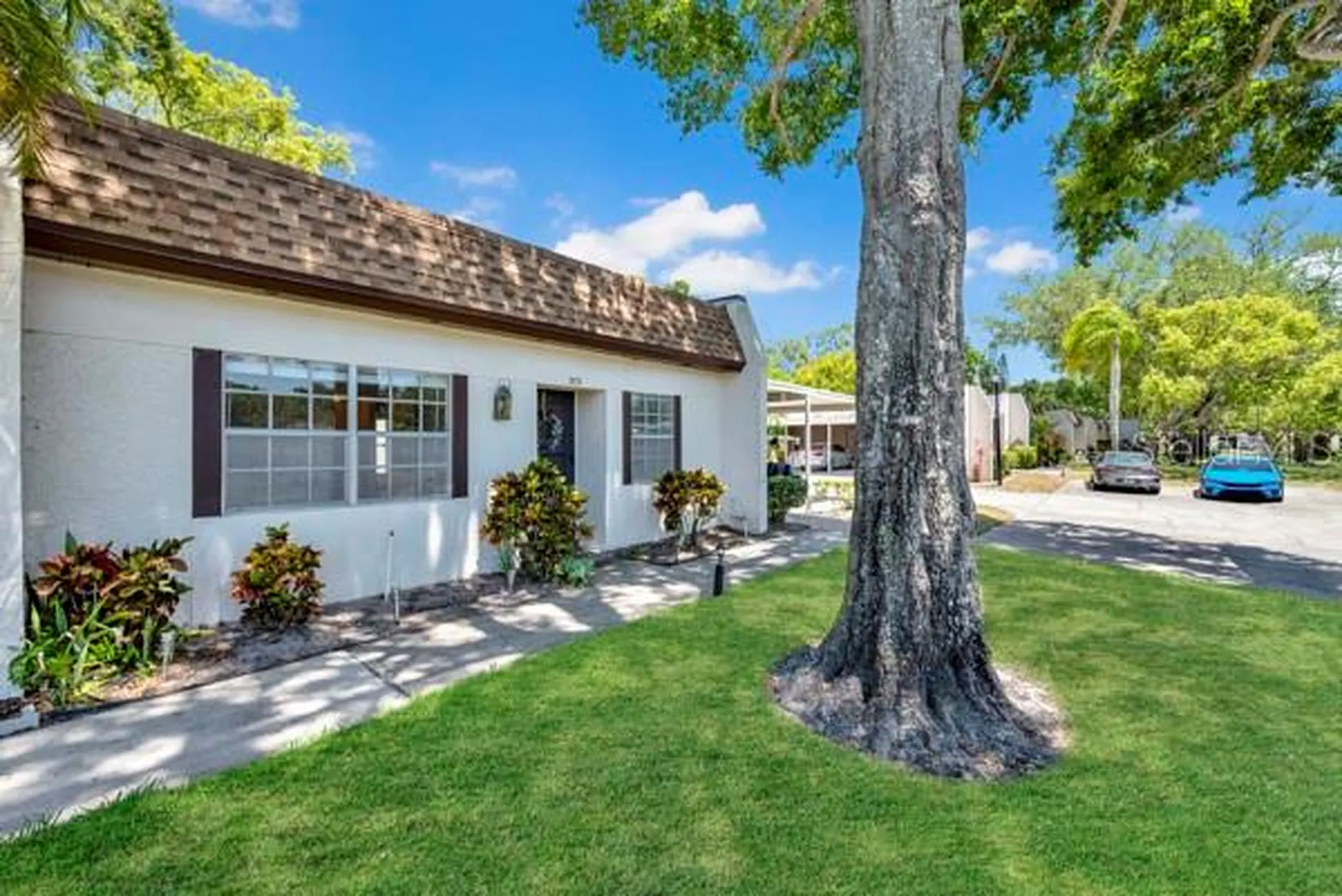 3113 Mission Grove Drive Palm Harbor FL 34684