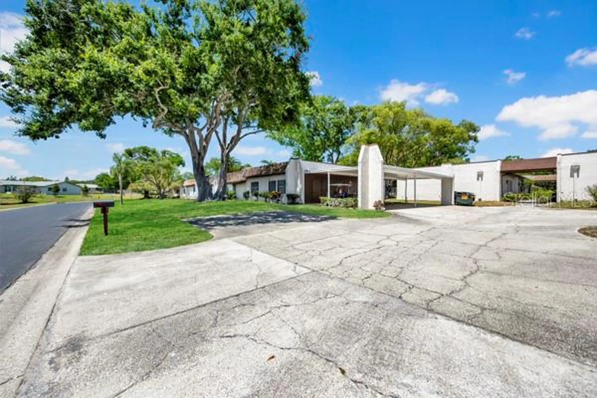 3113 Mission Grove Drive Palm Harbor FL 34684