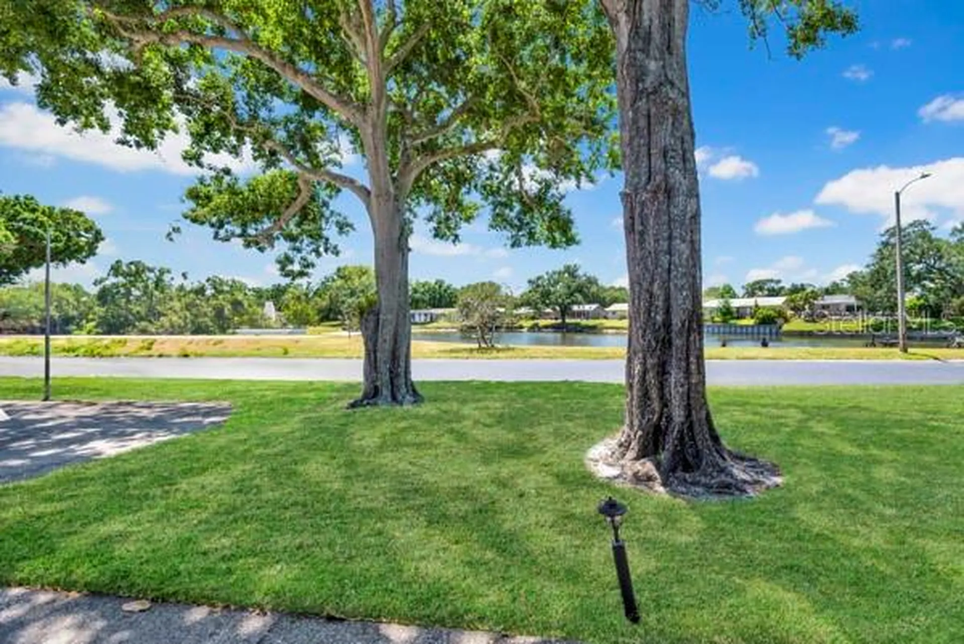 3113 Mission Grove Drive Palm Harbor FL 34684