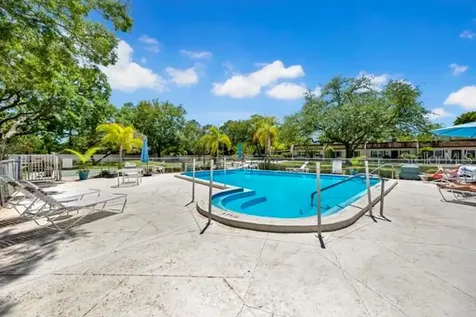 3113 Mission Grove Drive Palm Harbor FL 34684