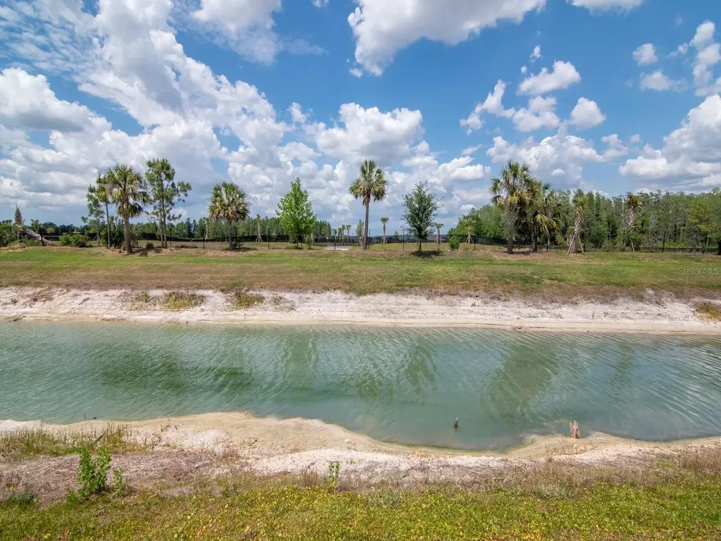 32309 Rosewood Meadow Lane Wesley Chapel FL 33543