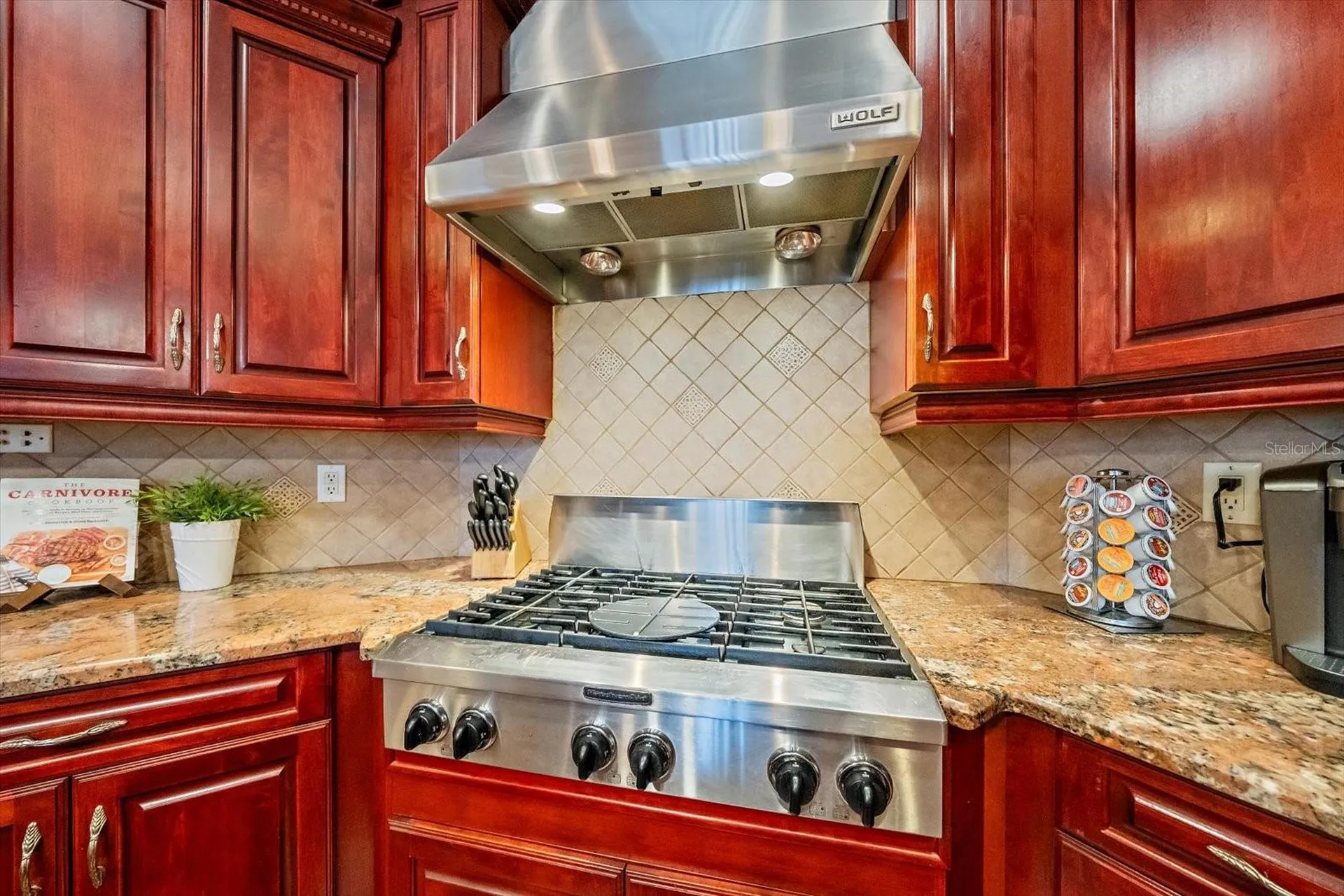 1615 Heritage Drive Valrico FL 33594