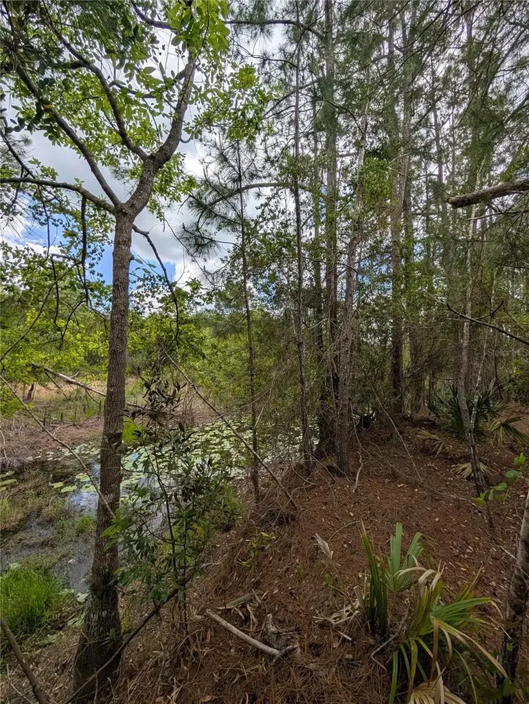 38521 Ilex Trail Eustis FL 32736