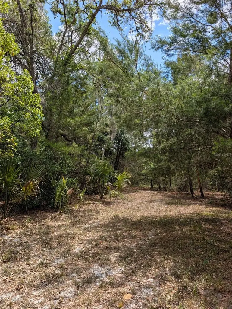 38521 Ilex Trail Eustis FL 32736