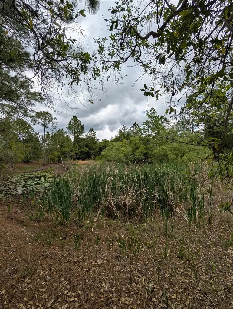38521 Ilex Trail Eustis FL 32736