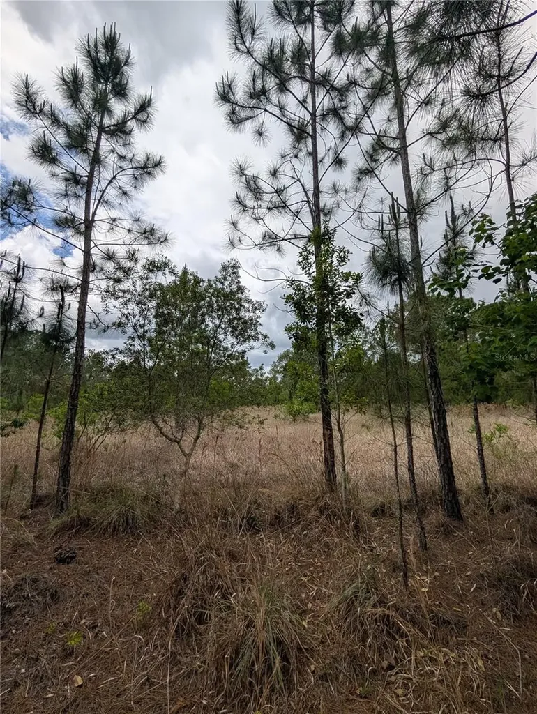 38521 Ilex Trail Eustis FL 32736