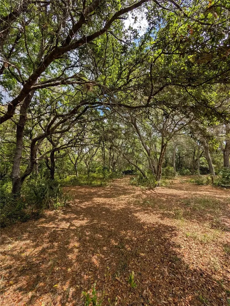 38521 Ilex Trail Eustis FL 32736
