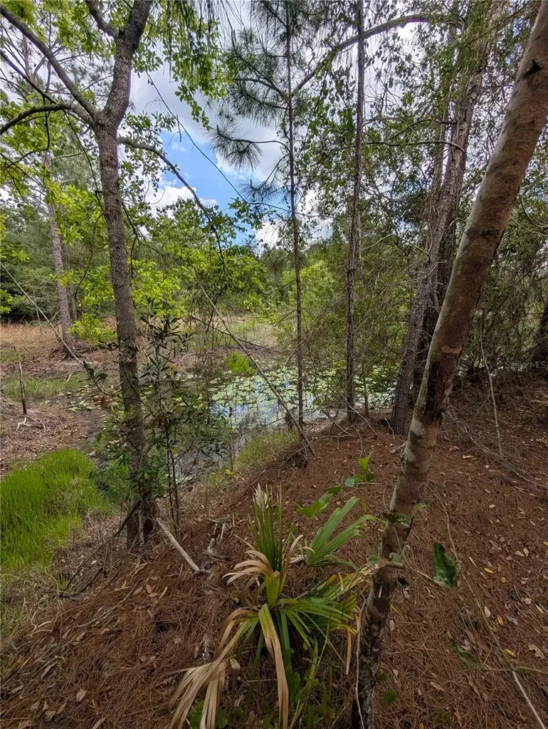 38521 Ilex Trail Eustis FL 32736