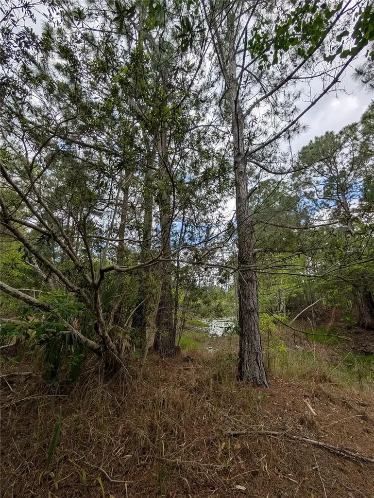 38521 Ilex Trail Eustis FL 32736