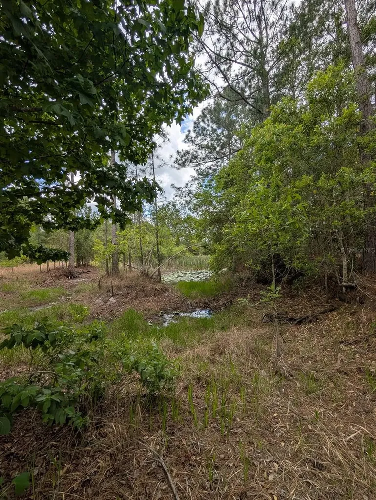 38521 Ilex Trail Eustis FL 32736