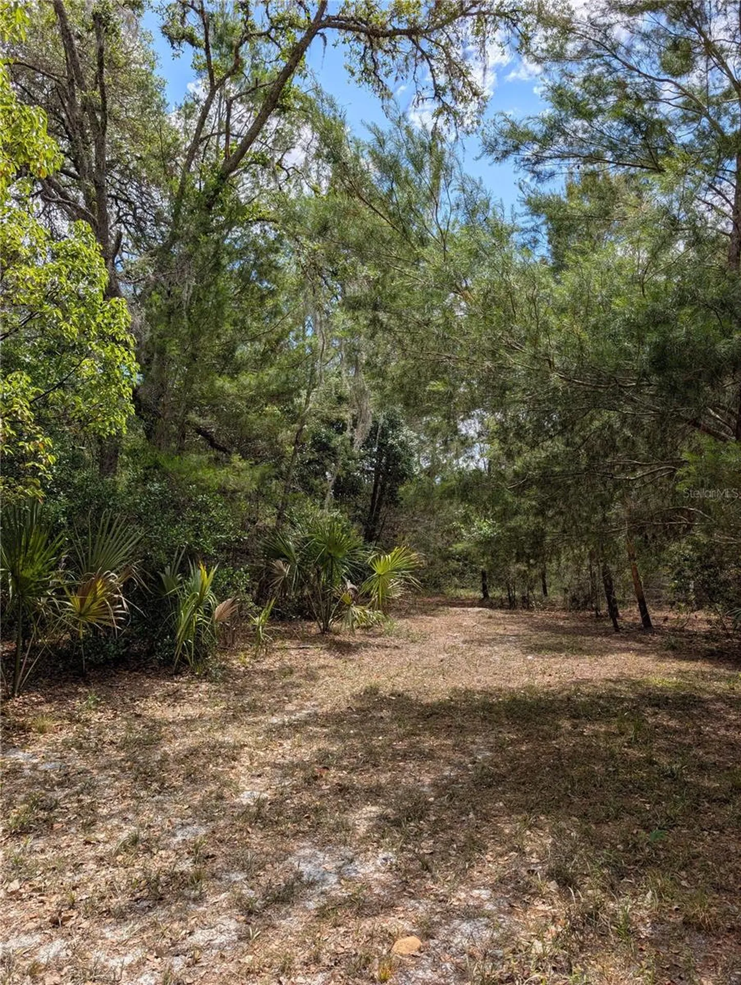 38521 Ilex Trail Eustis FL 32736