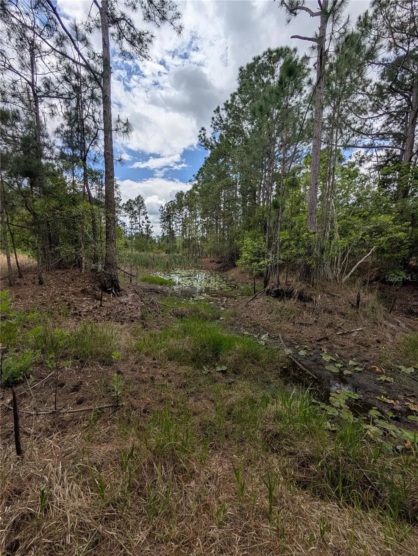 38521 Ilex Trail Eustis FL 32736