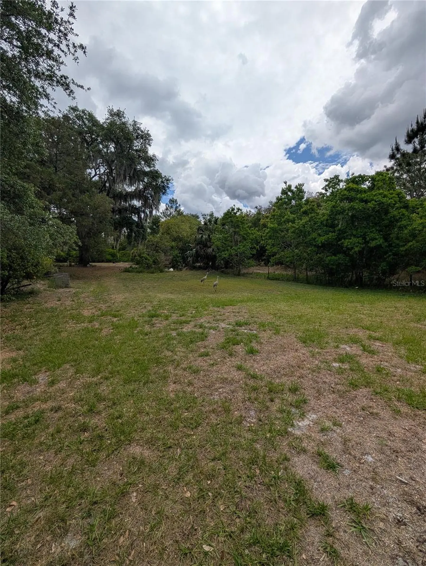 38521 Ilex Trail Eustis FL 32736