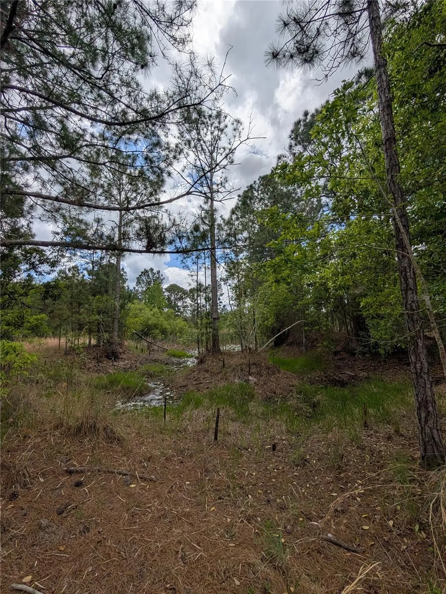 38521 Ilex Trail Eustis FL 32736