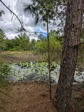38521 Ilex Trail Eustis FL 32736