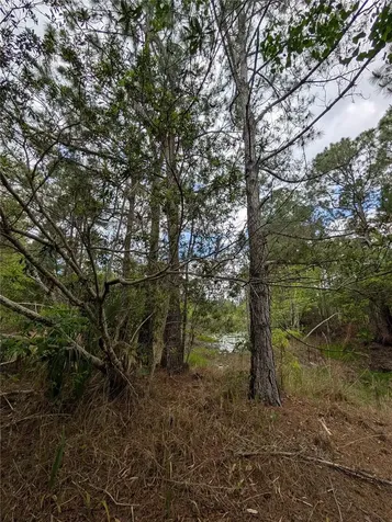 38521 Ilex Trail Eustis FL 32736