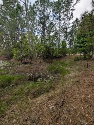 38521 Ilex Trail Eustis FL 32736