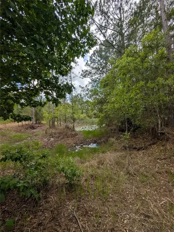 38521 Ilex Trail Eustis FL 32736