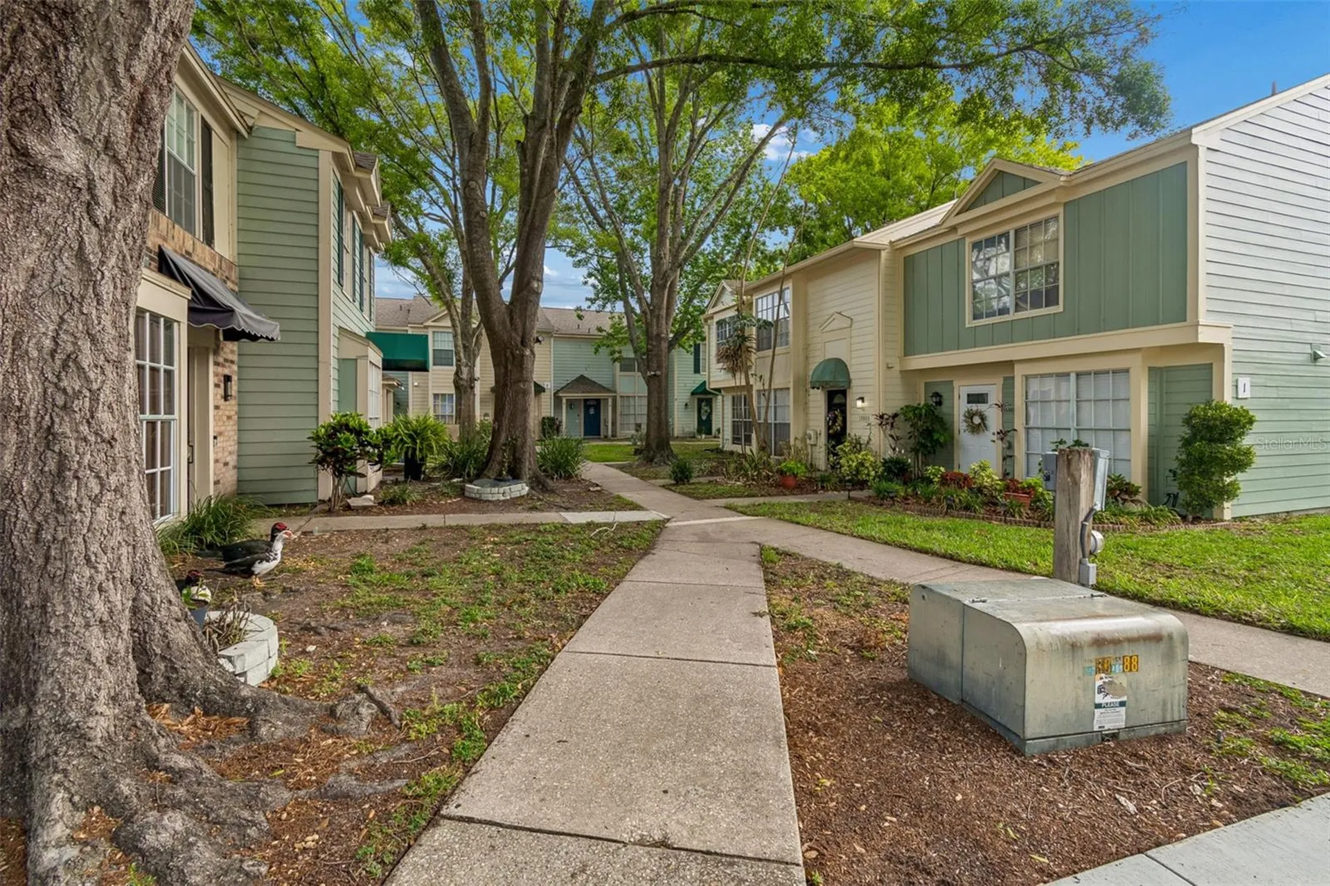 13813 Fletchers Mill Drive Tampa FL 33613