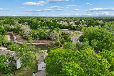 13813 Fletchers Mill Drive Tampa FL 33613