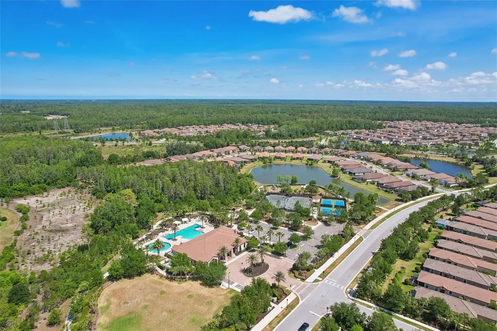 10834 Calluna Drive Odessa FL 33556