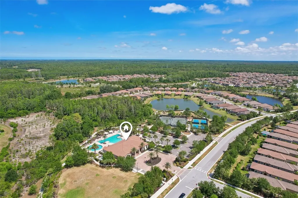 10834 Calluna Drive Odessa FL 33556