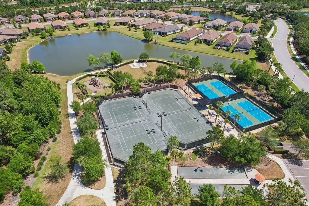 10834 Calluna Drive Odessa FL 33556